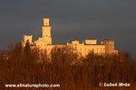 Hluboká castle(1xphoto)
