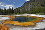 Yellowstone (40xfoto)